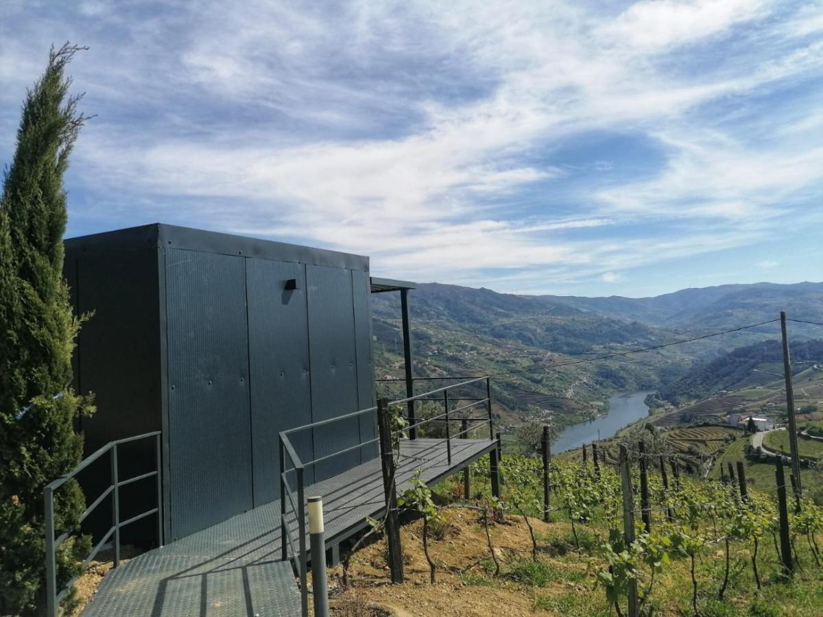 Casa Miradouro Acomodação com café da manhã Mesão Frio Exterior foto